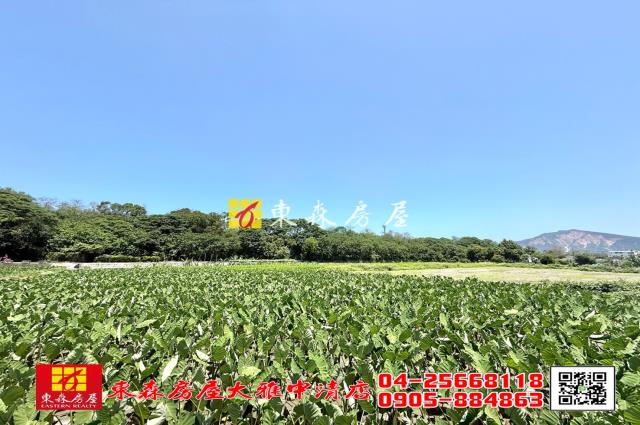台中大雅農地-3
