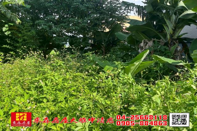 台中農地-1