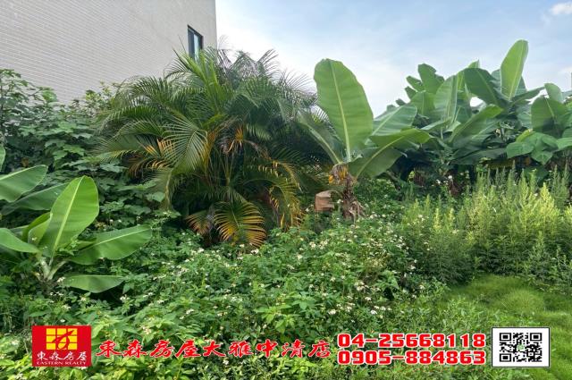台中農地-2