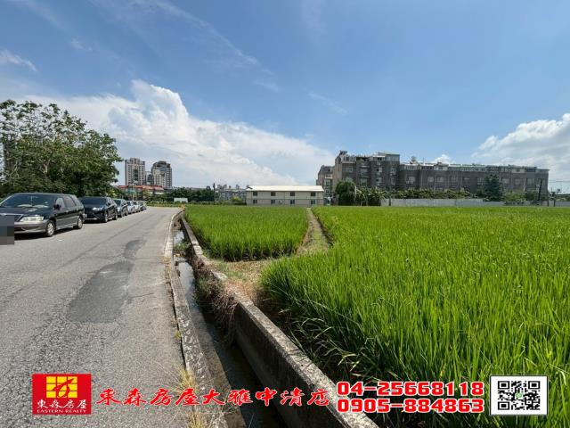 台中大雅農地-0