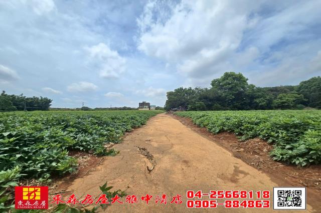 清水農地-3