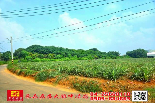 台中農地-4