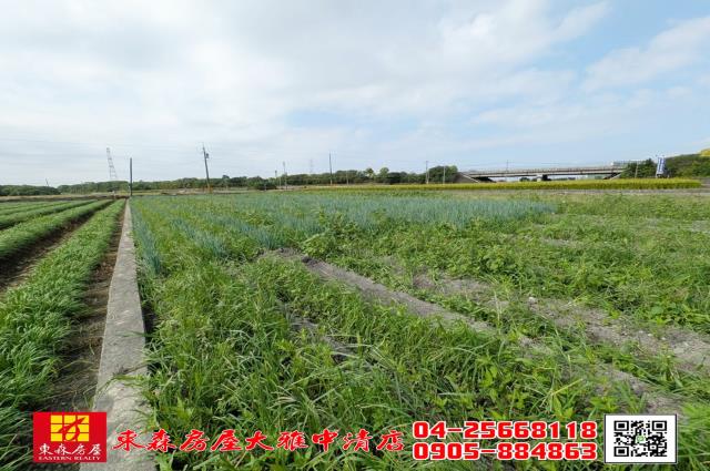 溪州農地-4