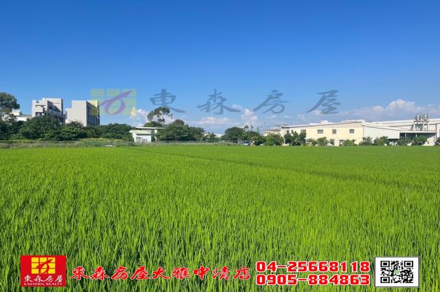 台中神岡農地-0