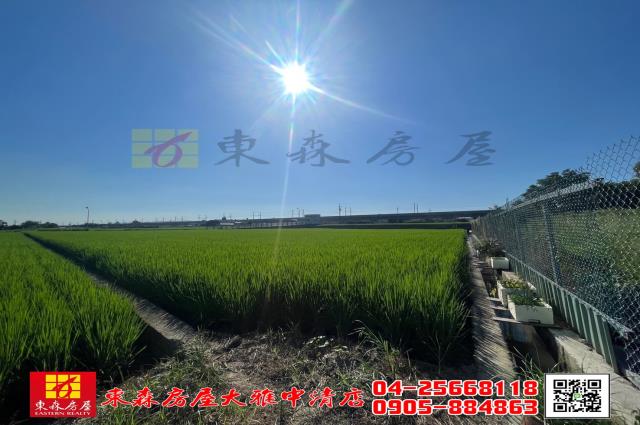 台中神岡農地-1