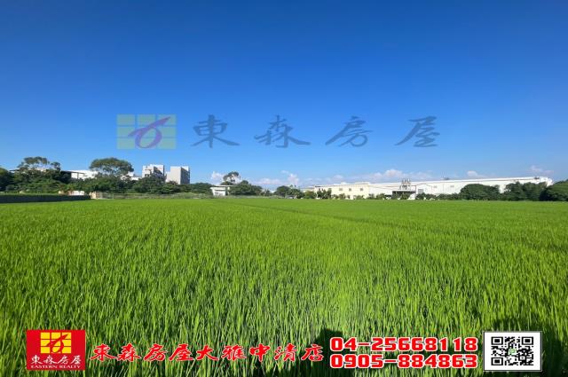 台中神岡農地-3