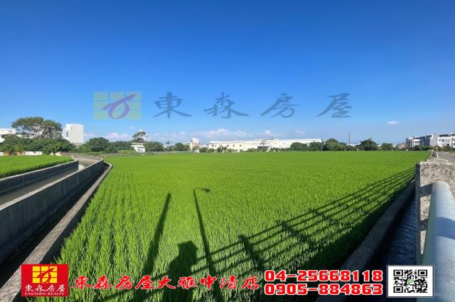 台中神岡農地-4