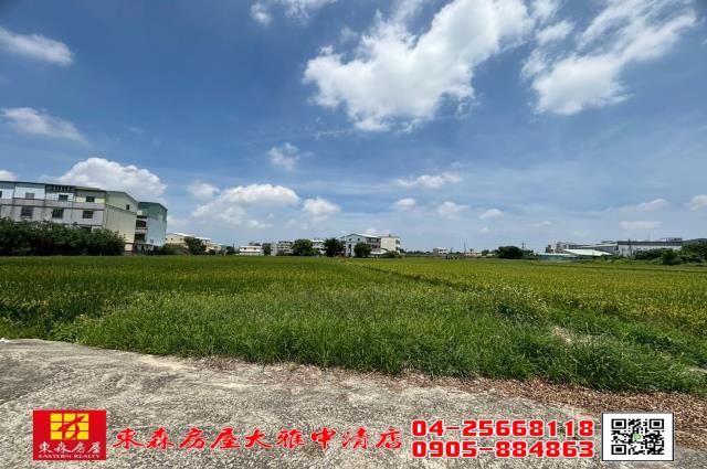 大雅農地-0