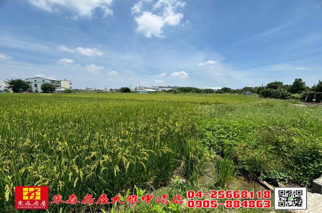 大雅農地-1