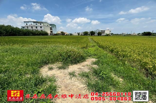 大雅農地-2