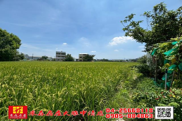 大雅農地-3