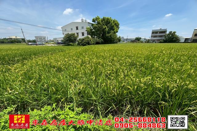 大雅農地-4
