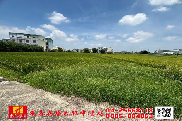 大雅農地-5