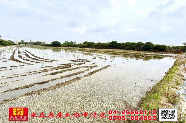 台中神岡農地-0