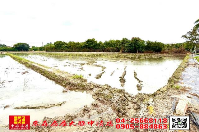 台中神岡農地-1