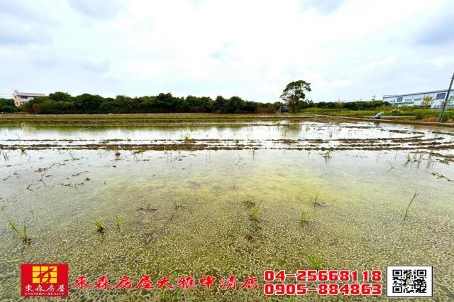 台中神岡農地-2
