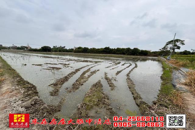 台中神岡農地-7