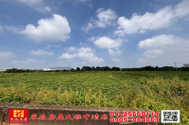台中農地-2