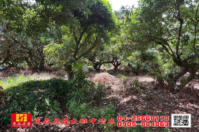 神岡農地-0