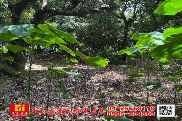 神岡農地-6