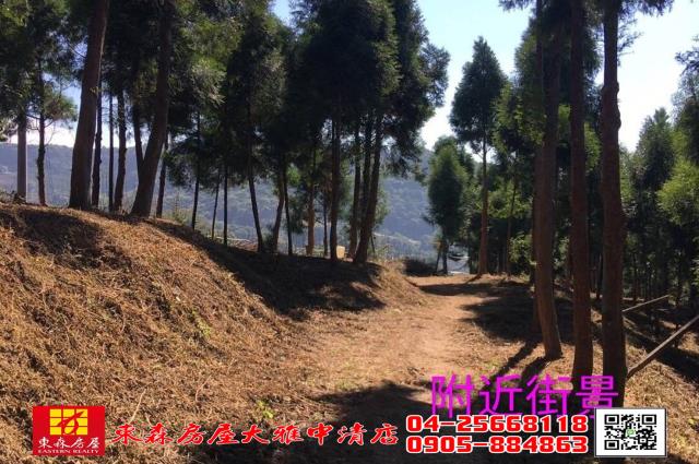 苗栗三義農地-0