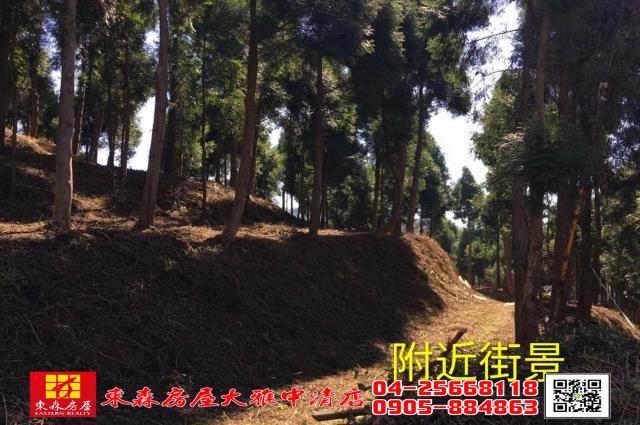 苗栗三義農地-1