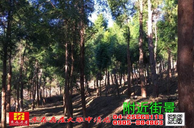 苗栗三義農地-3