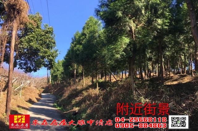 苗栗三義農地-4