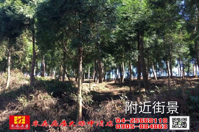 苗栗三義農地-5